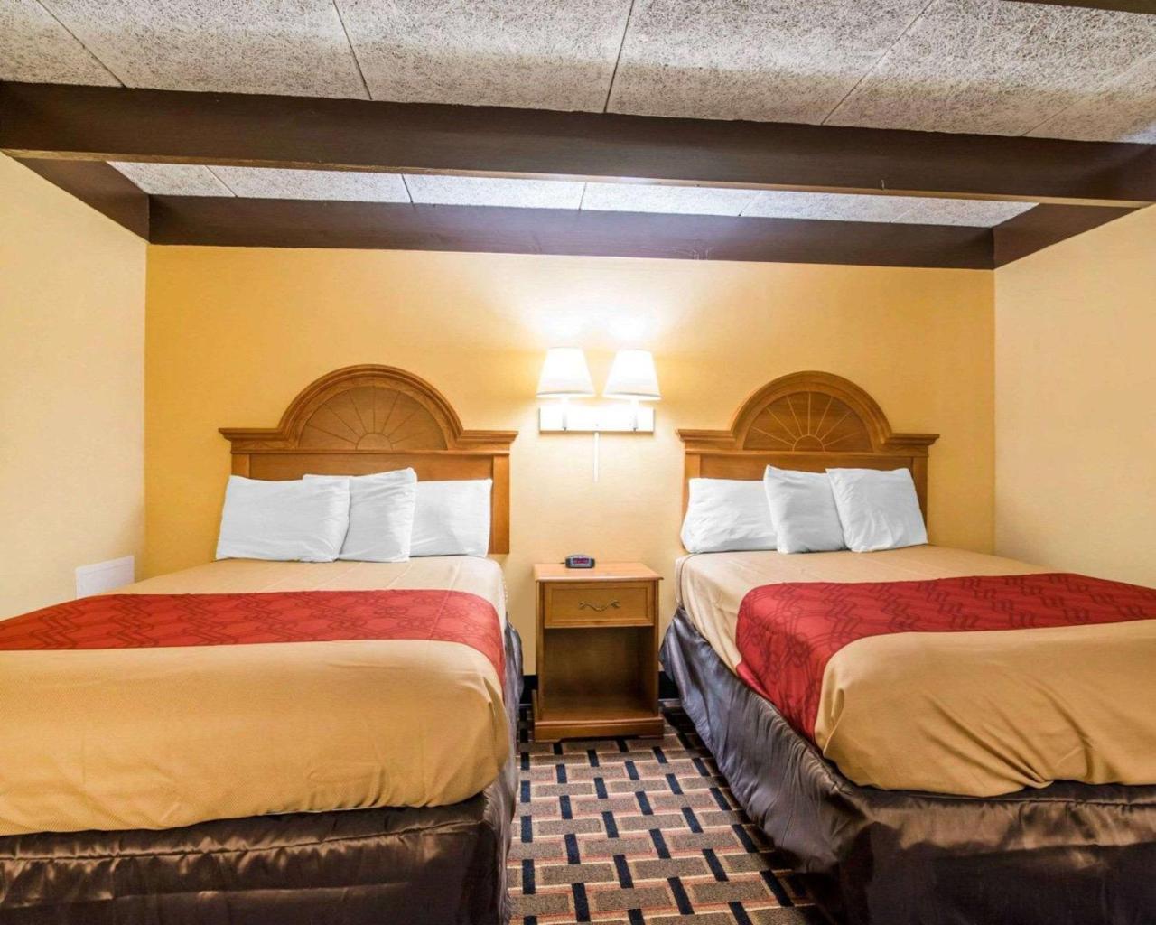 Econo Lodge نيو بالتز المظهر الخارجي الصورة